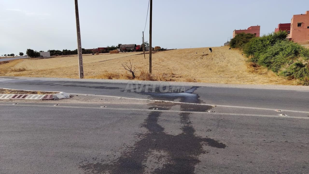 2.56 هكتار موثق على طريق توالع بن سليمان