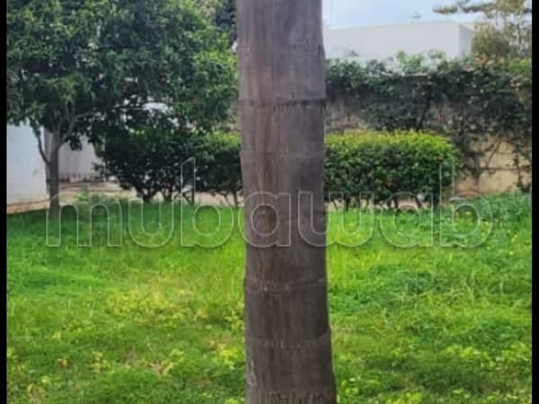 Villa 2000m Souisi proche
