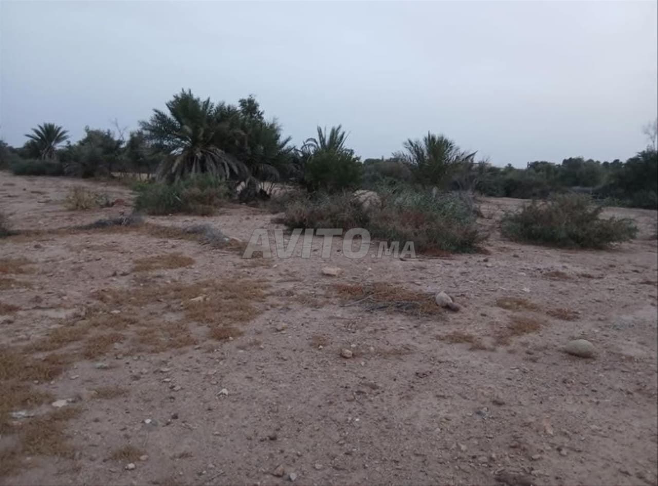 Land for sale