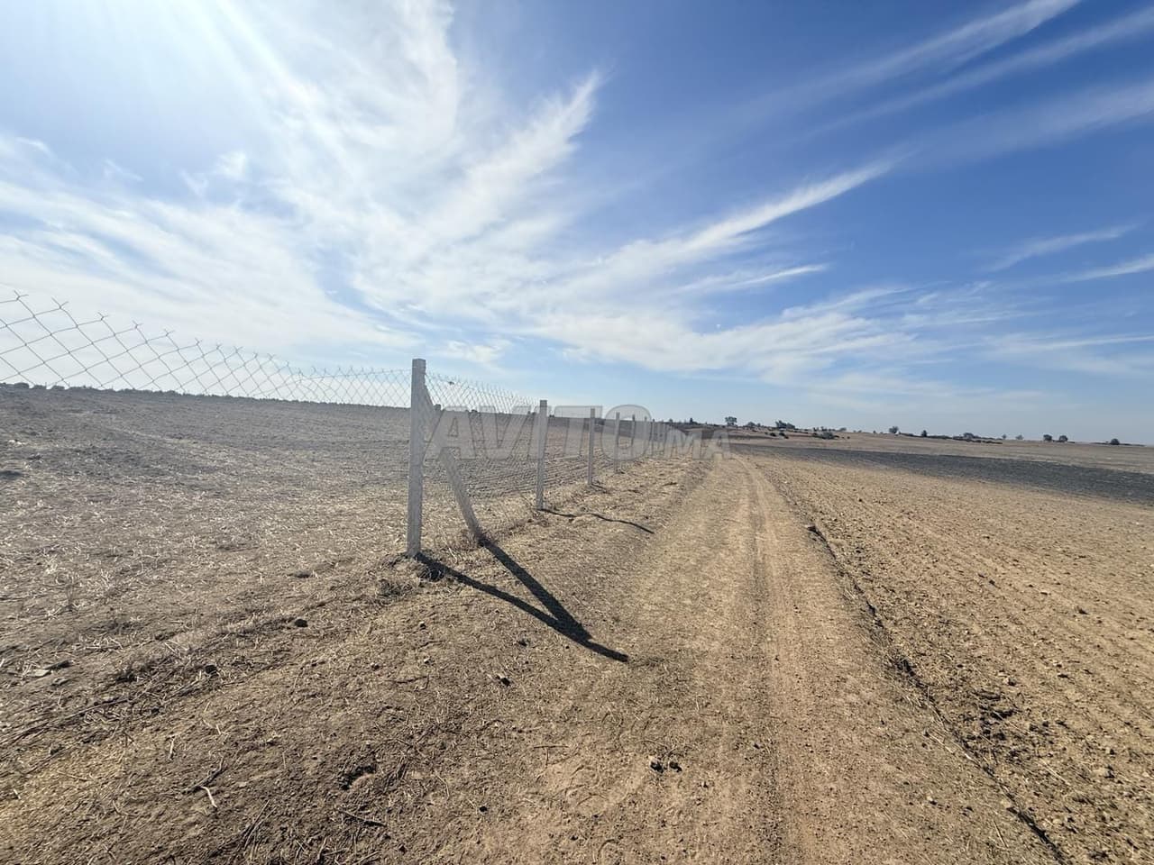 1.8 ha titré à 7 km du c.ville Bnslimane