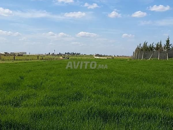 Terrain agricole titré 2 hectares, prix négociable sans intermédiaire