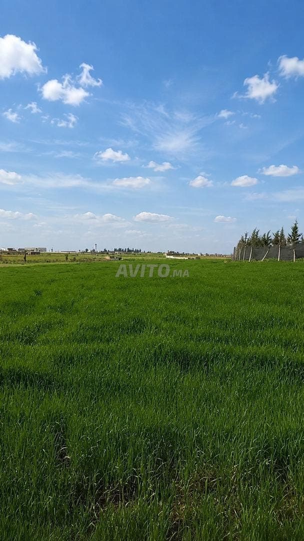 Terrain agricole titré 2 hectares, prix négociable sans intermédiaire