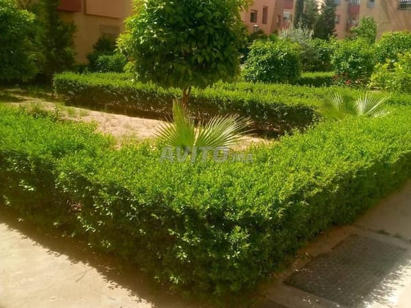 Appartement à vendre 1er étage