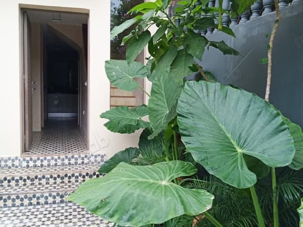 Villa à Louer entièrement rénovée California