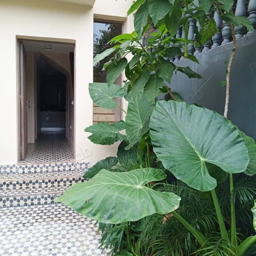 Villa à Louer entièrement rénovée California