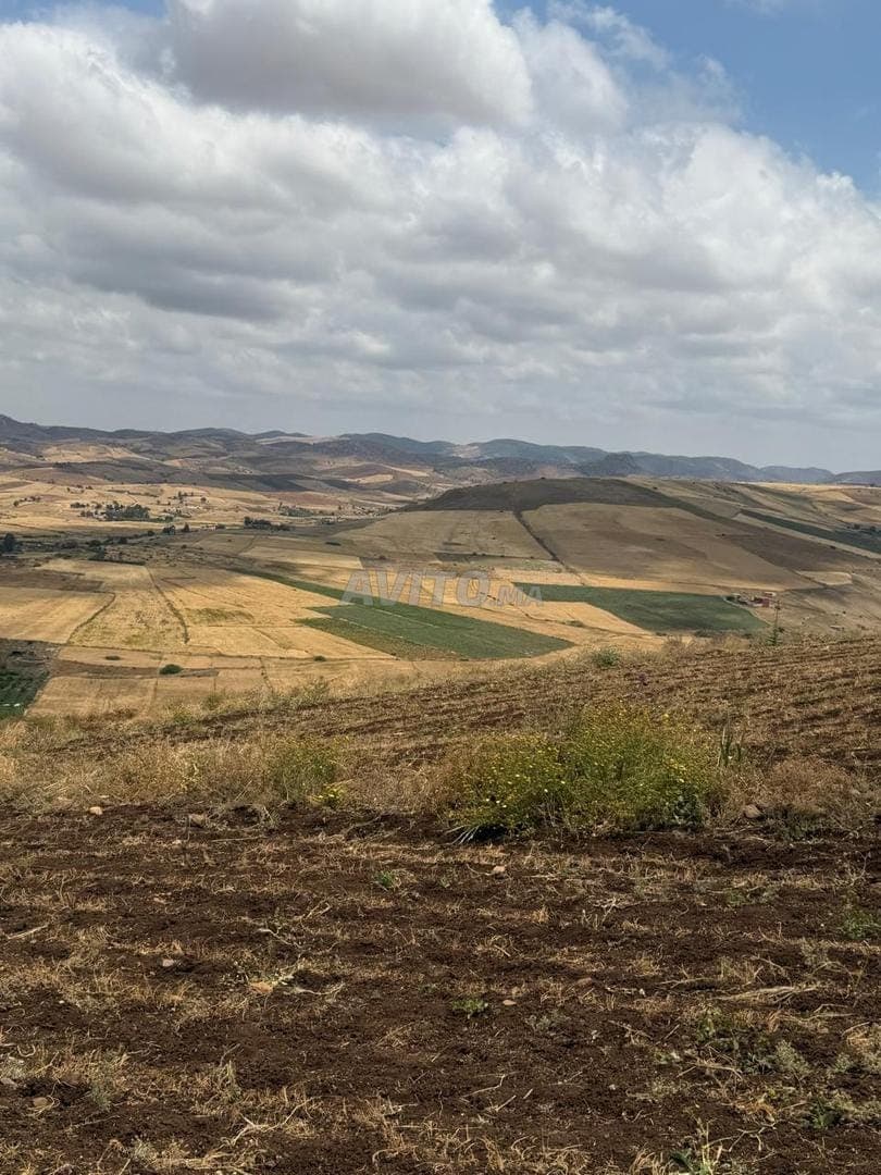 Terrain hectare et quart près de Ben Slimane