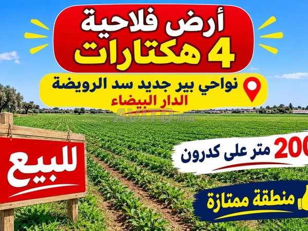 Landbouwgrond te koop, geregistreerd en ingeschreven in de omgeving van Casablanca