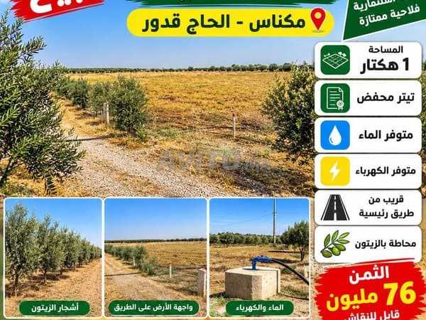 Hectare titré à vendre Meknes El Haj Kaddour, titre foncier