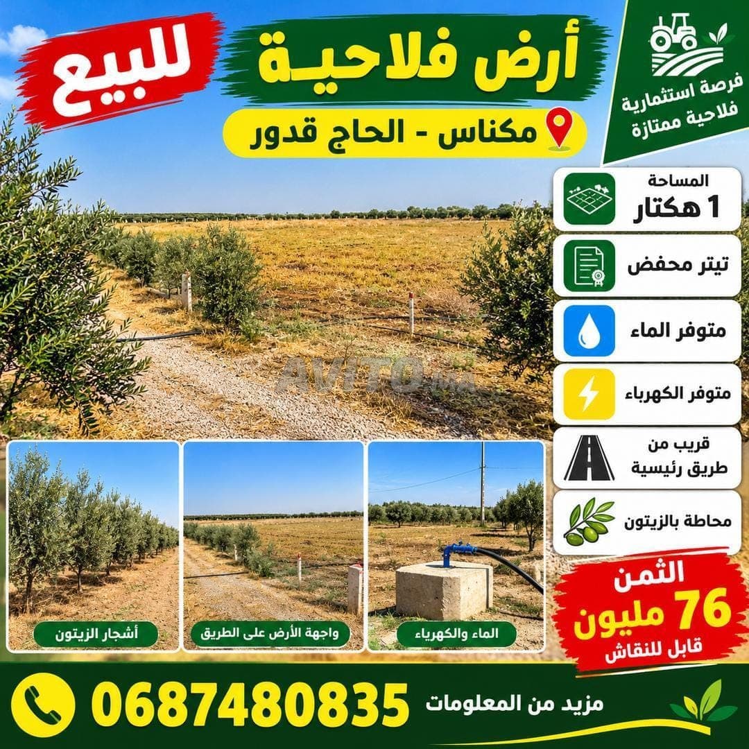 Hectare titré à vendre Meknes El Haj Kaddour, titre foncier