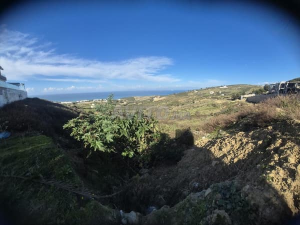 Terrain deux Hectares a Malabata Tanger