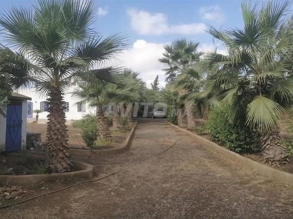 Fermette villa 2600 m2 Ain Laqsob
