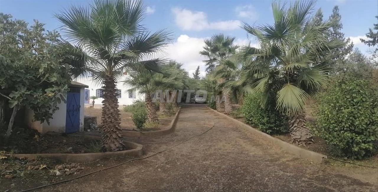 Fermette villa 2600 m2 Ain Laqsob