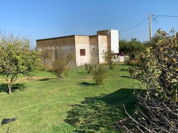 Ferme agricole à vendre – 23 hectares près de Rabat
