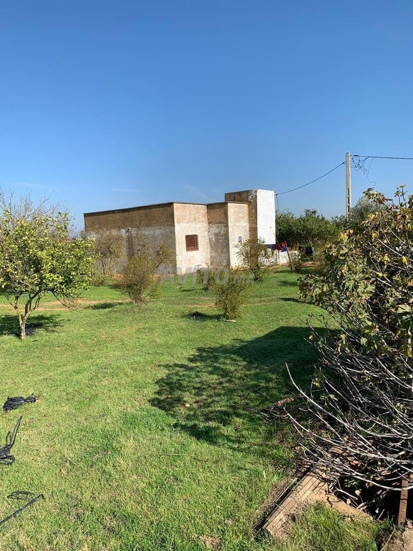Ferme agricole à vendre – 23 hectares près de Rabat