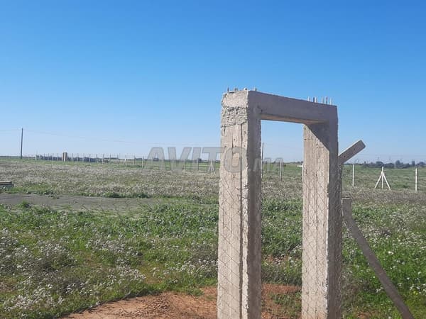 Agricultural land of 3 hectares, well maintained, for sale, price 180 million, Tiflet