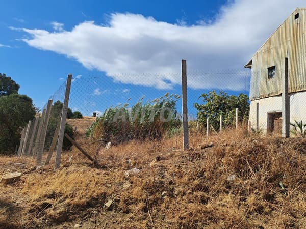 Opportunity Titled Land for Sale