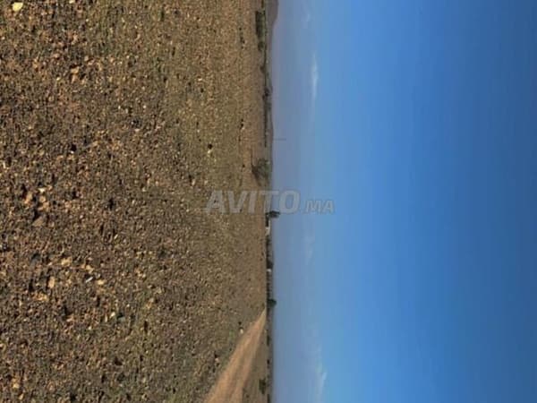 Terrain 14km Stade Marrakech 1km piste
