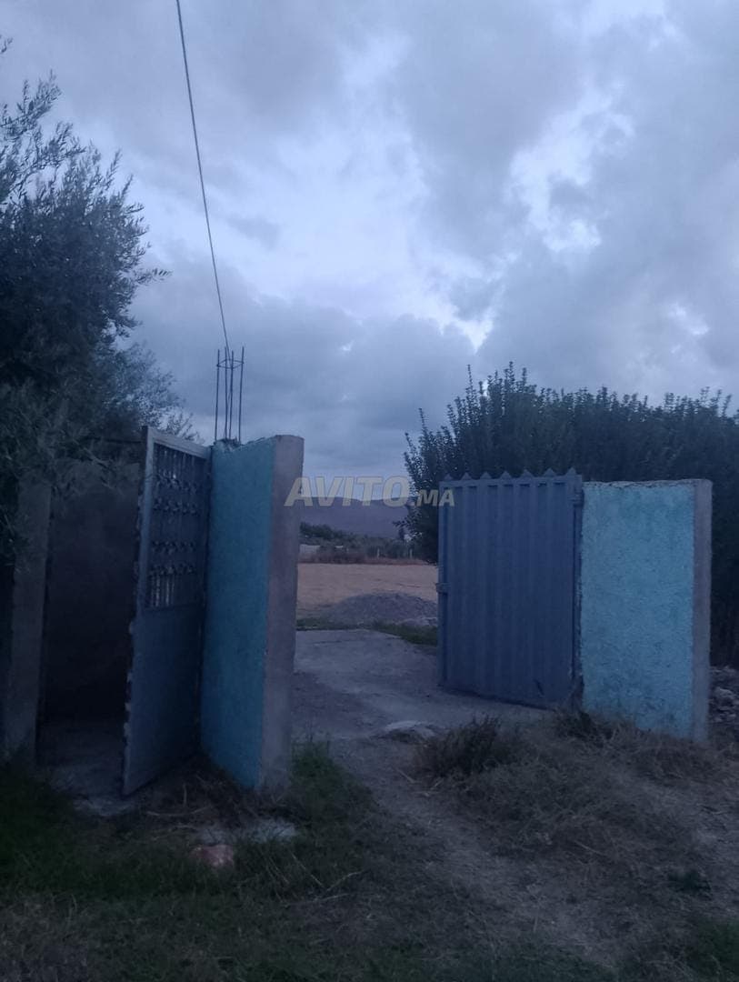 أرض مع منزل وأشجار للبيع