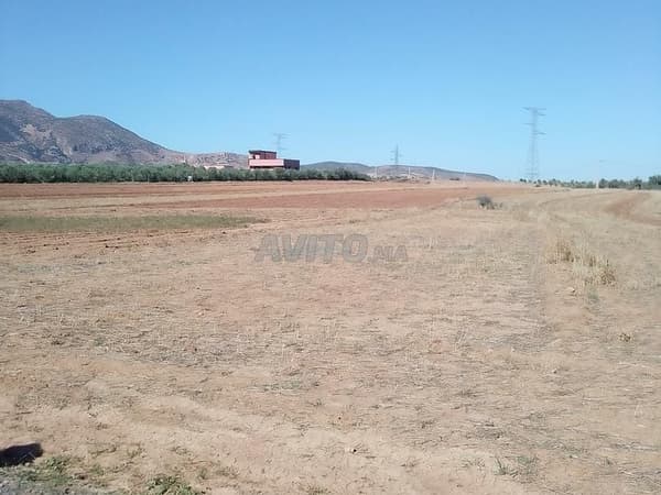 Kaldaman terrain agricole 6000m²