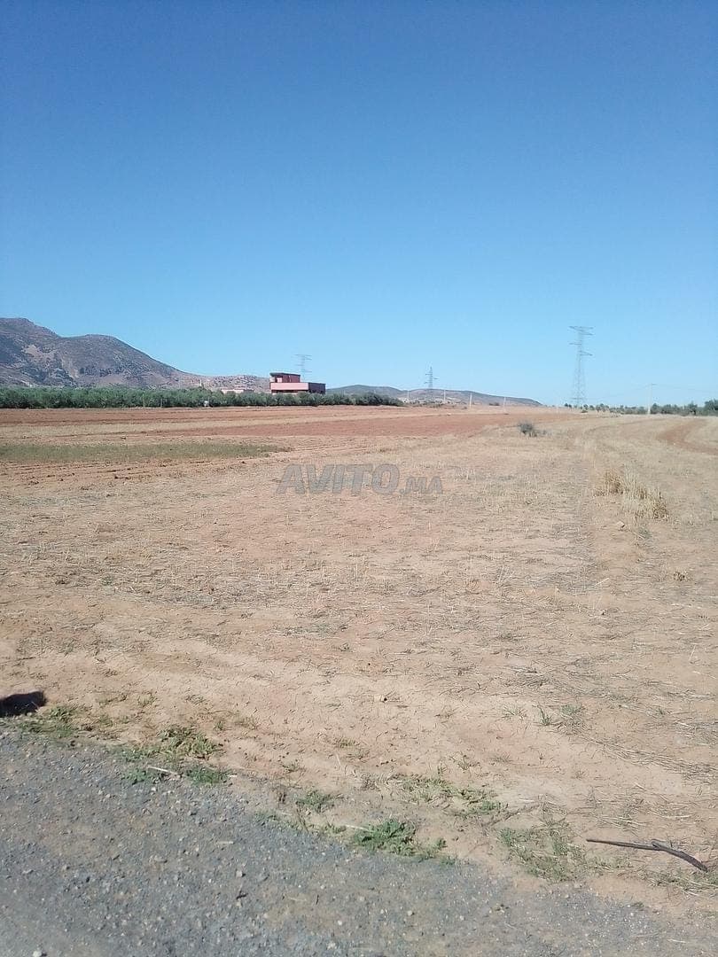 Kaldaman terrain agricole 6000m²