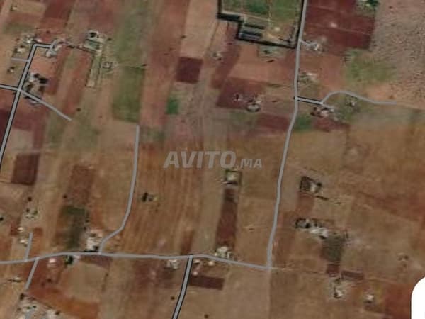أرض بمساحة 3600 م² للبيع بمنطقة سيدي رحال