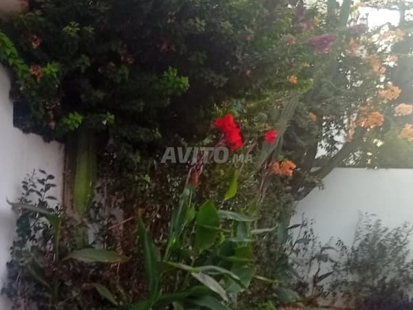 Villa à vendre
