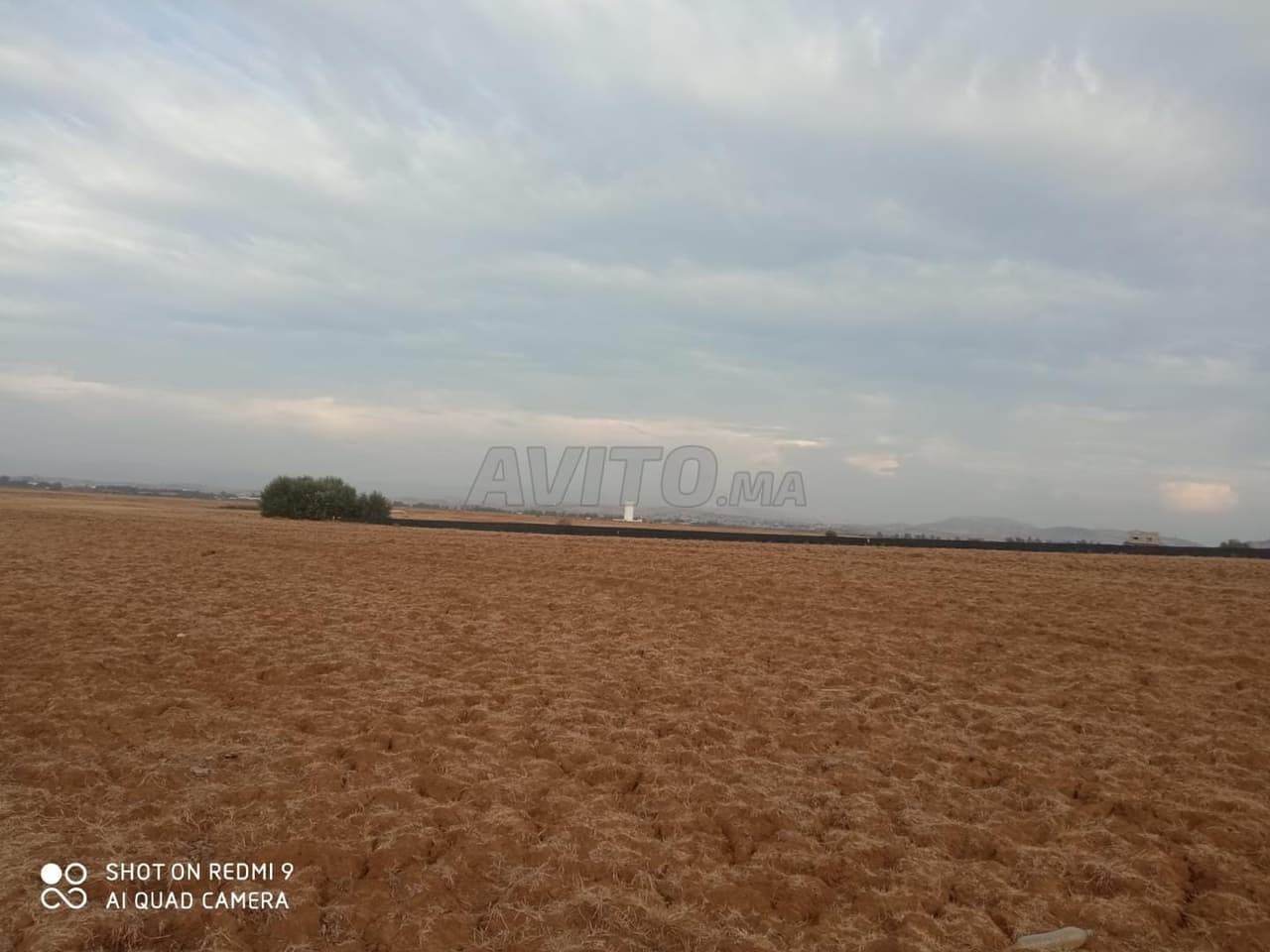 Ksar El Kbir ... environ combien et demi