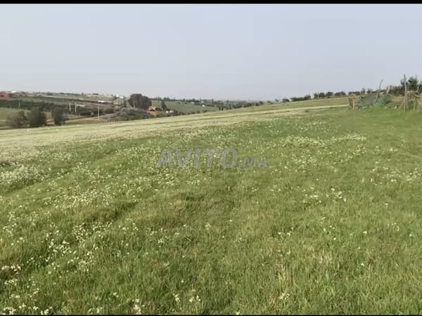 Agrarland in der Region Qotbiine zwischen Khemisset und Tifelt