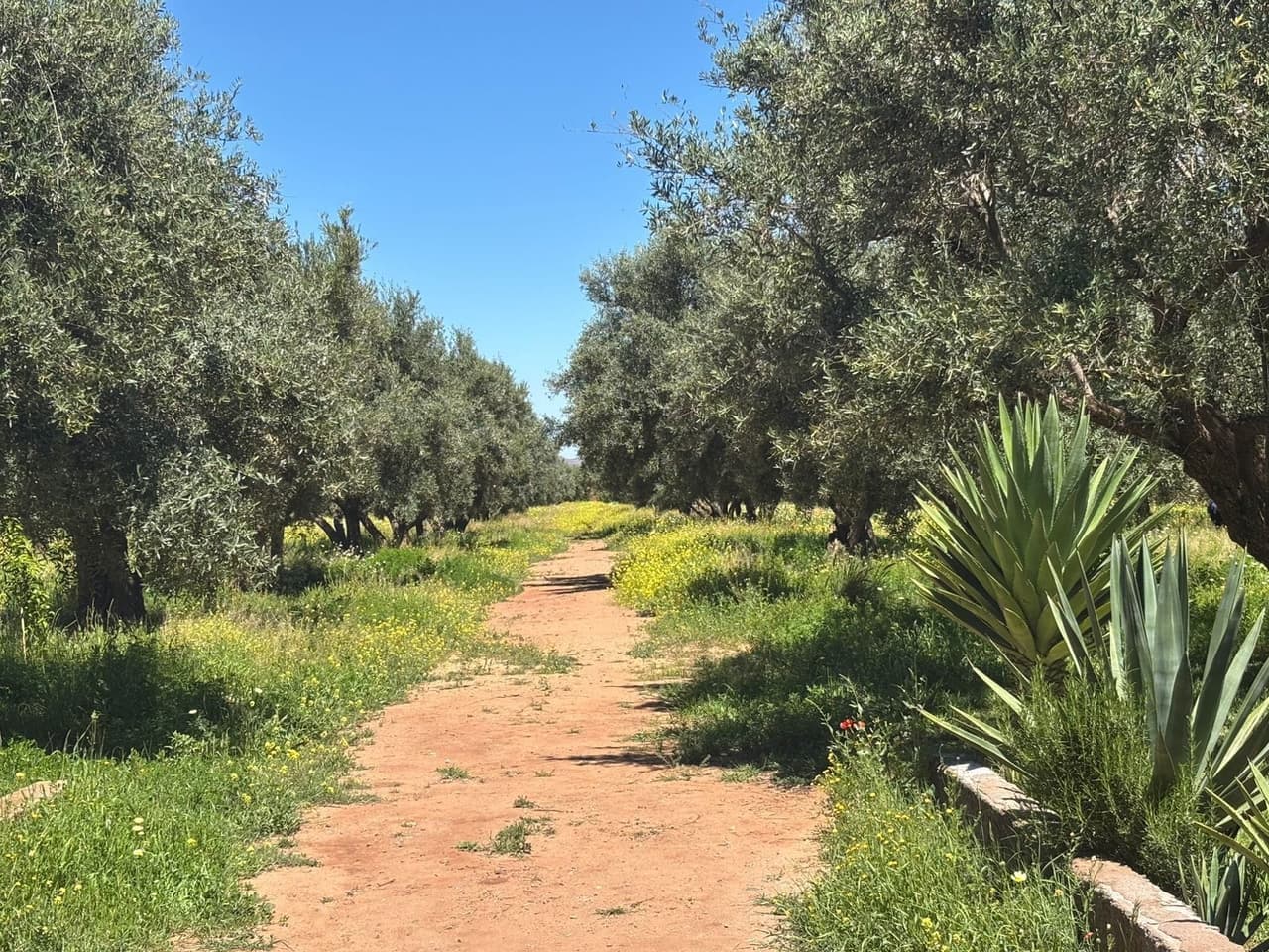 Terrain pour villa 24703 m² à vendre à Marrakech Route De Fes
