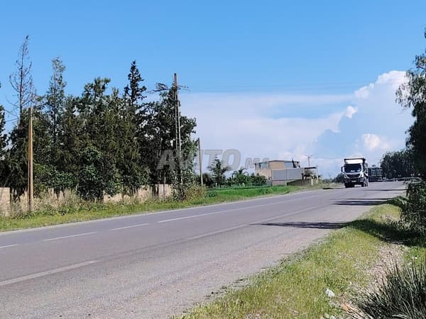 1.556 ha titré avec puits à Benslimane