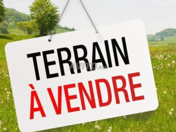 Terrain Agricole a vendre