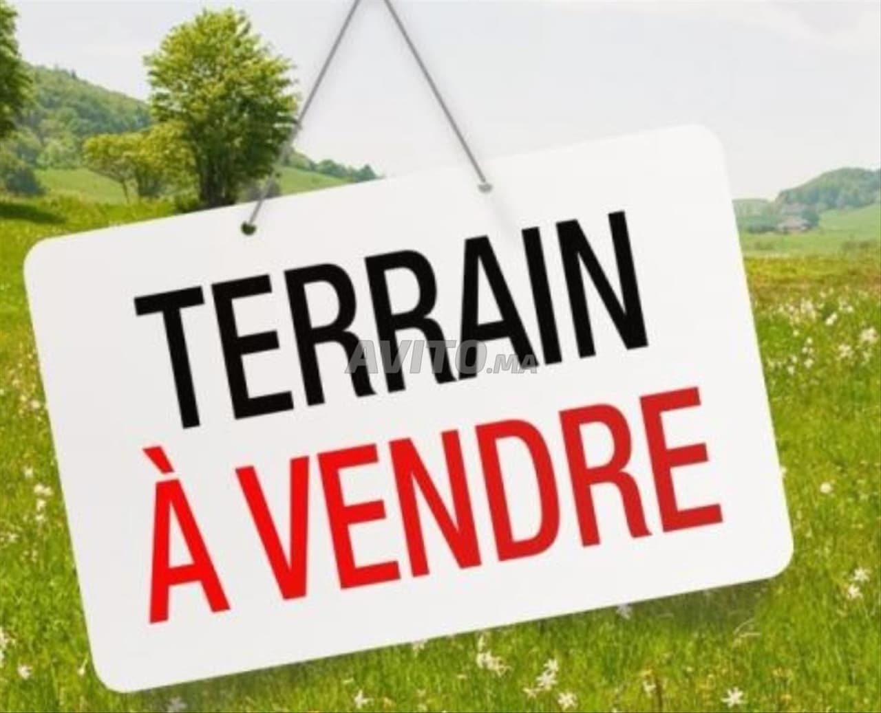 Terrain Agricole a vendre