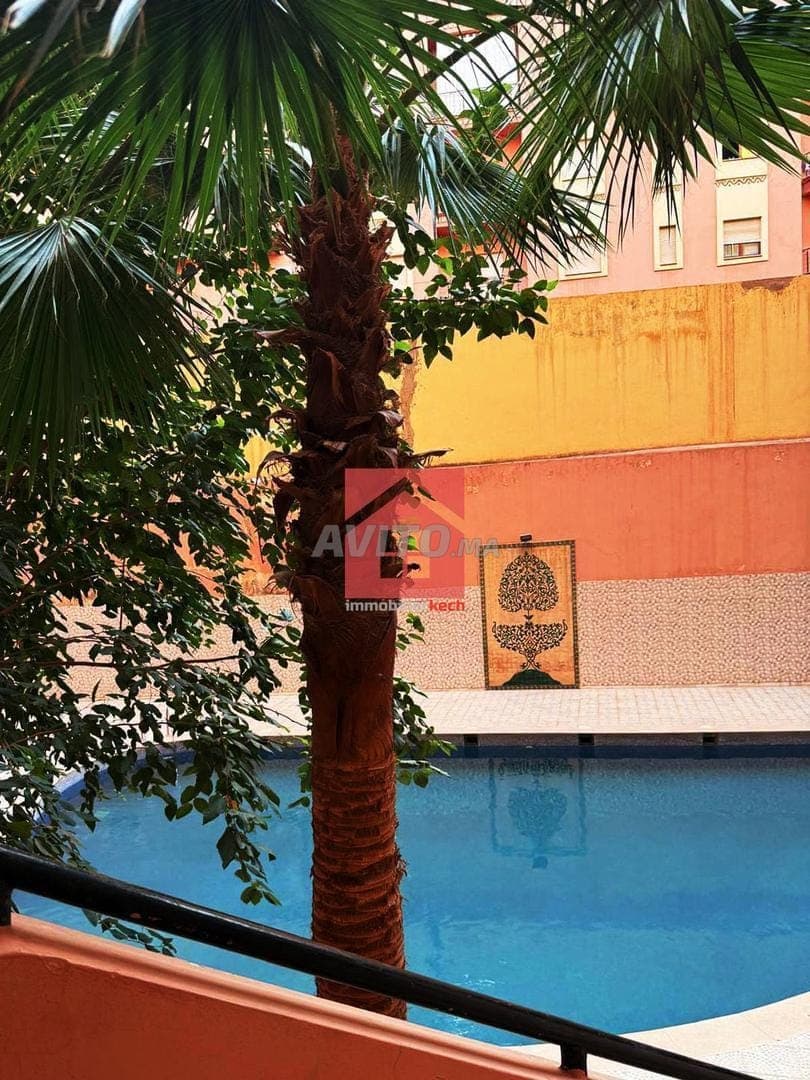 Furnished apartment with swimming pool 😍 for rent monthly