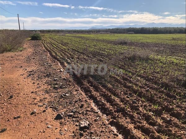 Terre exceptionnelle 10 700 m² avec vue sur l'Atlas près de Marrakech