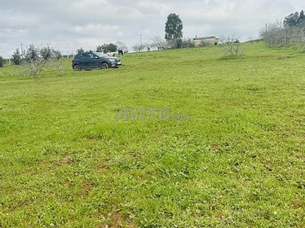 Perceel van 2000m² naast de industriezone Ain Jouhara