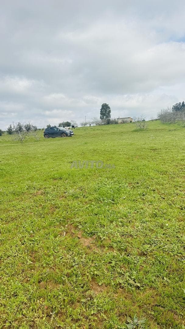 Terrain 2000m² à côté de la zone industrielle Ain Jouhara