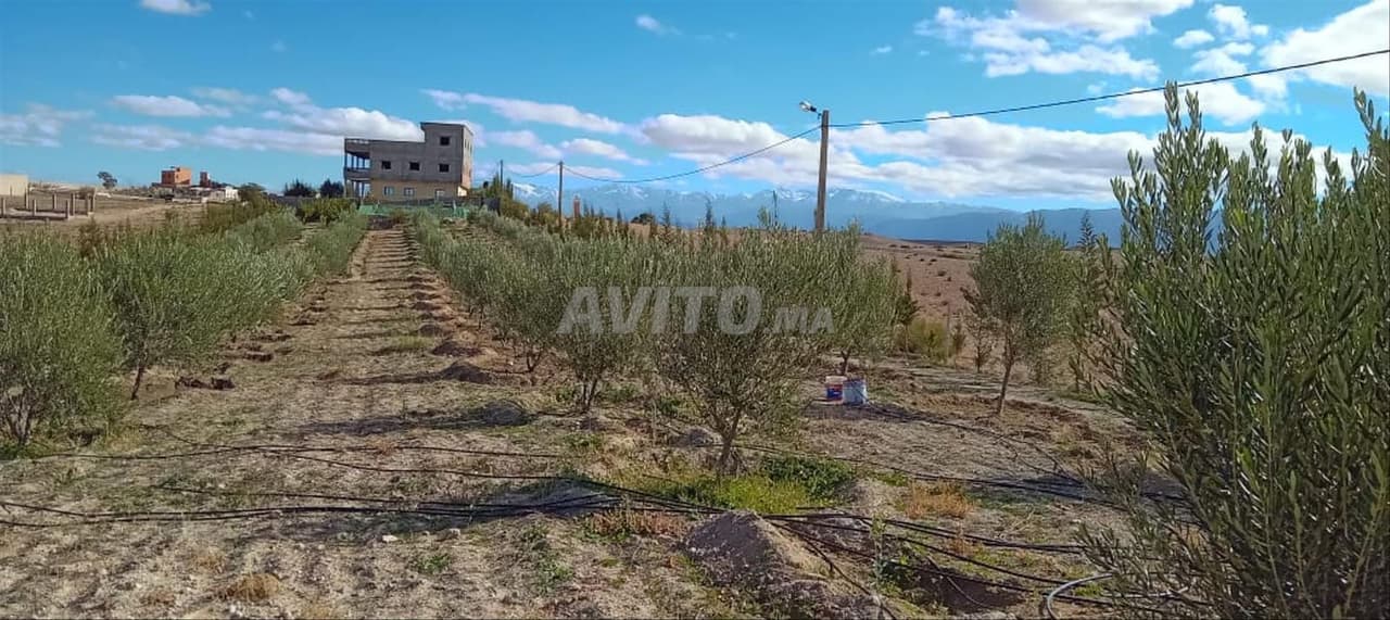 La tranquillità, con una vista panoramica sull'Alto Atlante.