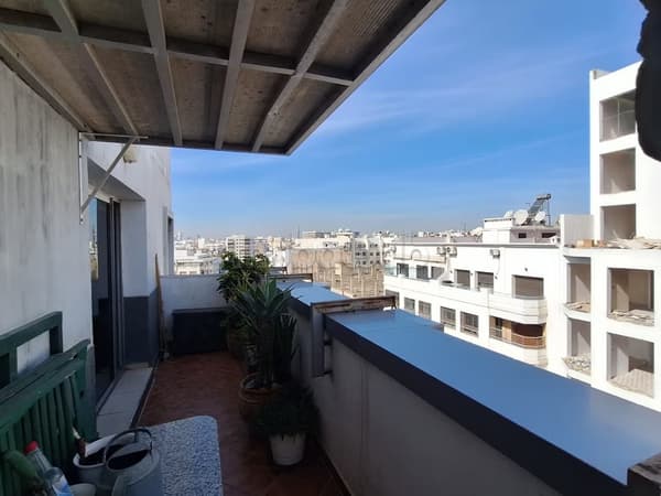 Bureau 205 m² cloisonné avec terrasse