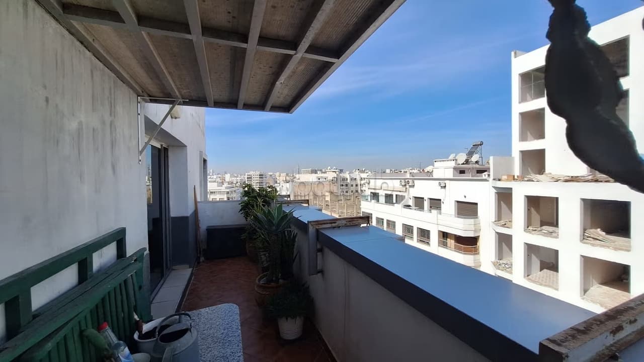 Bureau 205 m² cloisonné avec terrasse
