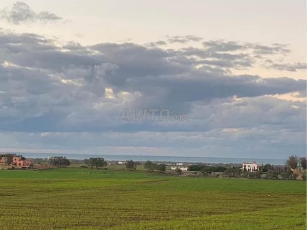 Terreno agrícola