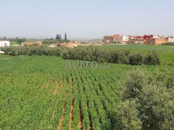 Terreno en venta