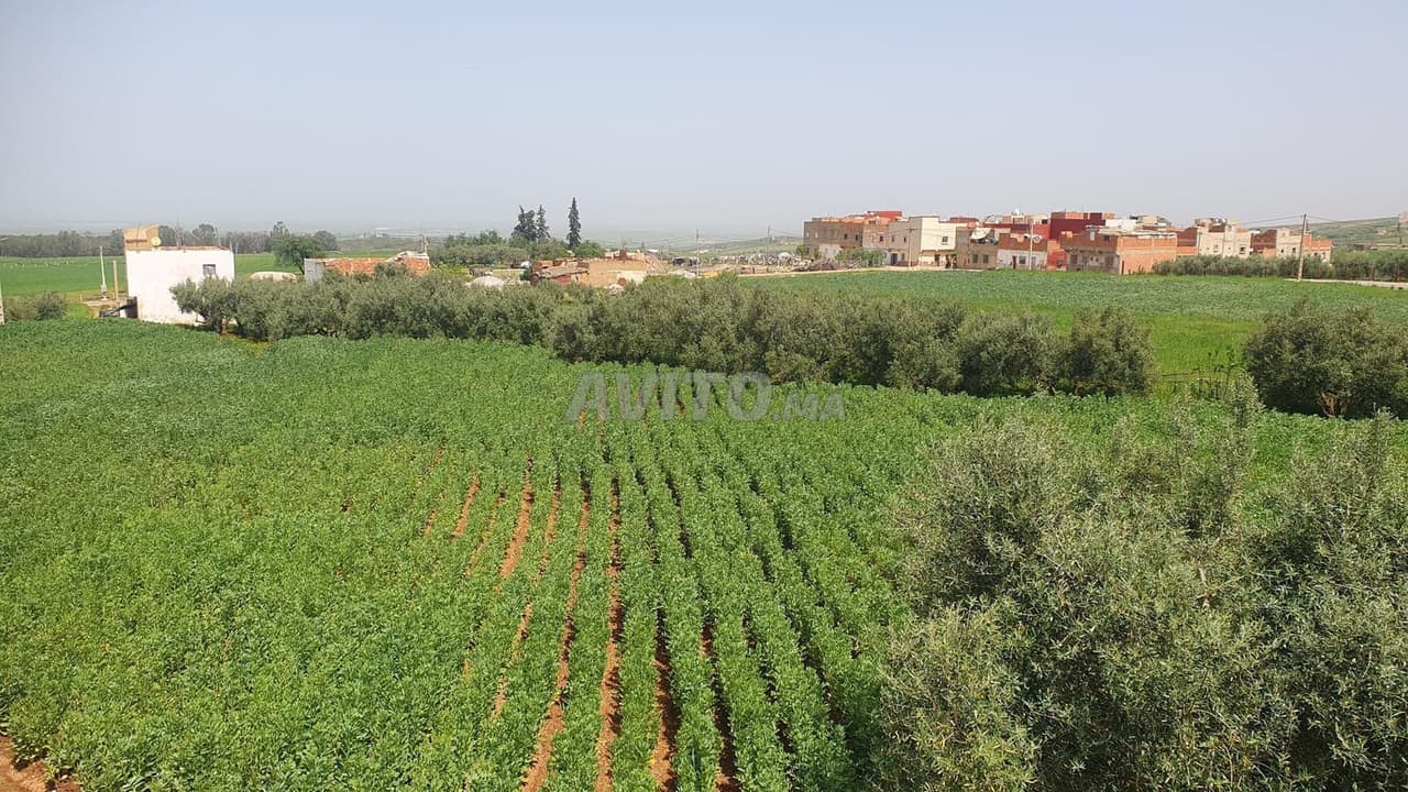 Terreno en venta