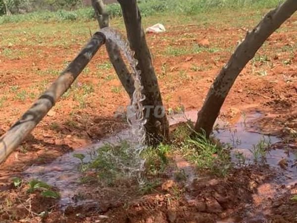 2 hectares ou 1000 m² propriété foncière