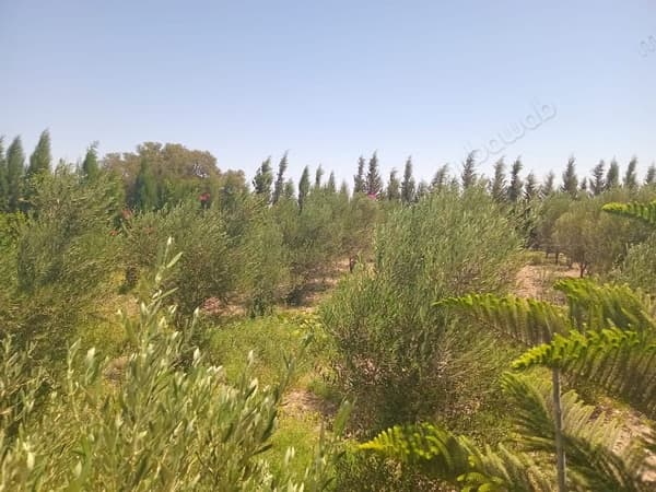 Villa titrée à vendre à Bouzama – Essaouira