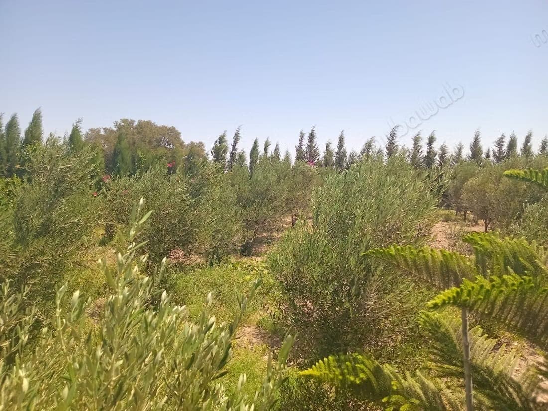 Villa avec titre foncier à vendre à Bouzama – Essaouira