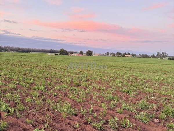 🌟 Terrain à vendre près de Sidi Rahal Chatai 🌟