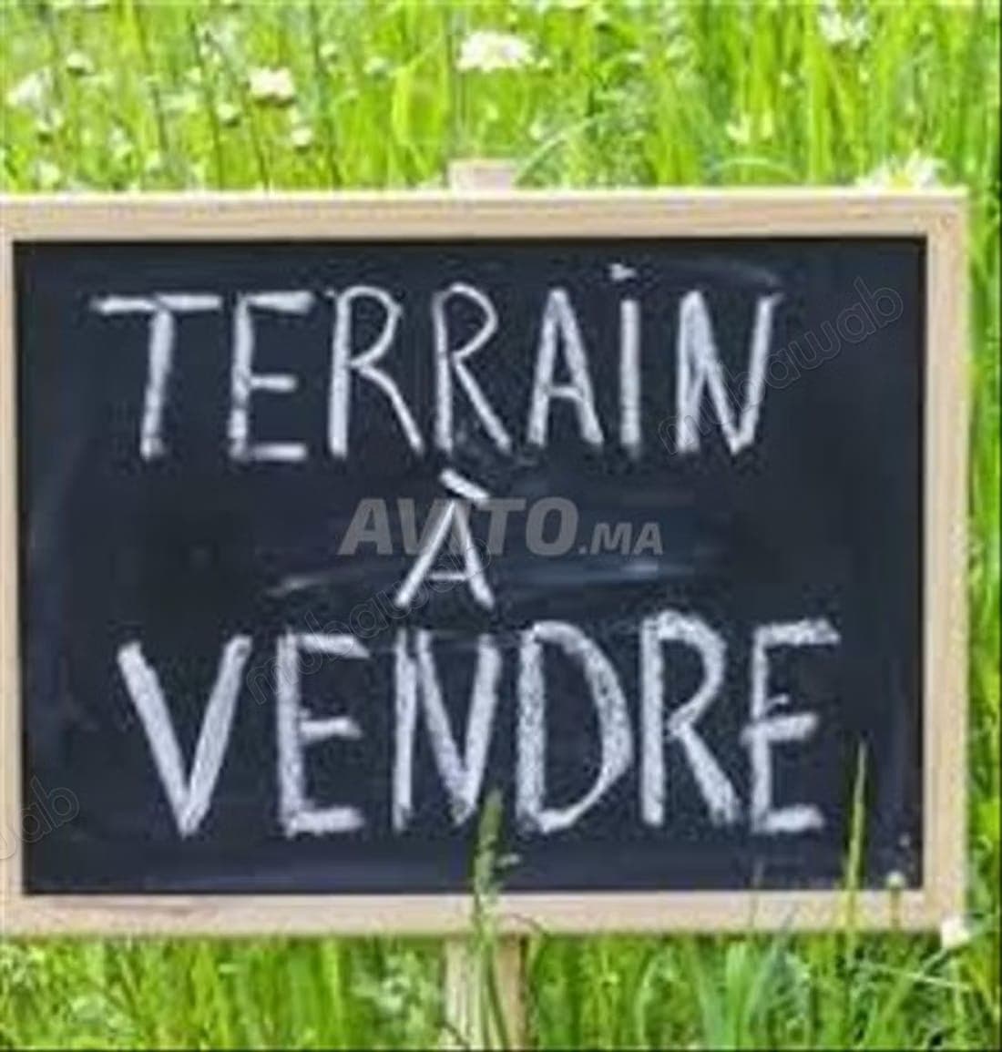 In vendita terreno eccezionale di 580m² Hay Riad settore 14
