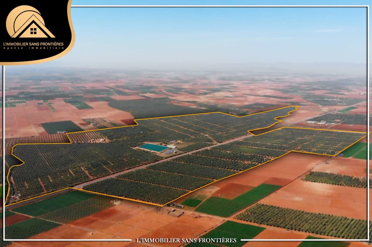 Ferme à Tamalalt, 59 000 oliviers + 5 puits, Marrakech : à vendre