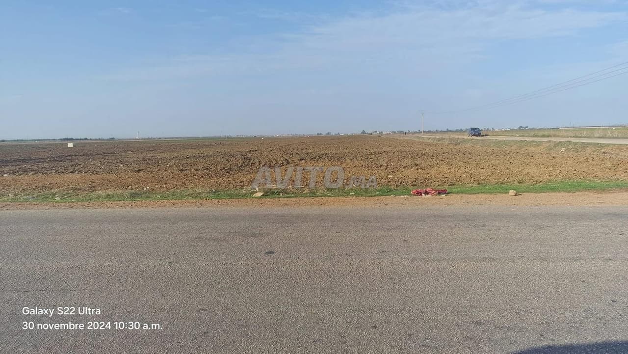 Offre de terrain agricole à vendre Ksar El Kebir