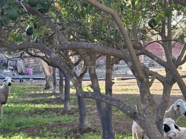 Petite ferme équipée